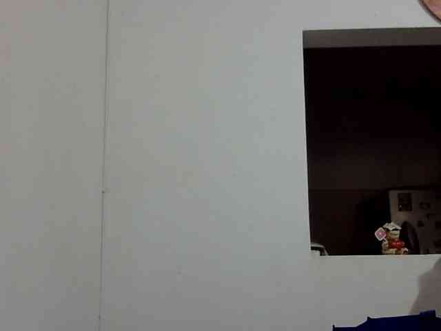 ElizabethMart webcam