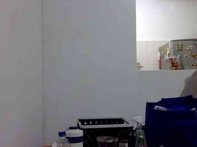 ElizabethMart webcam