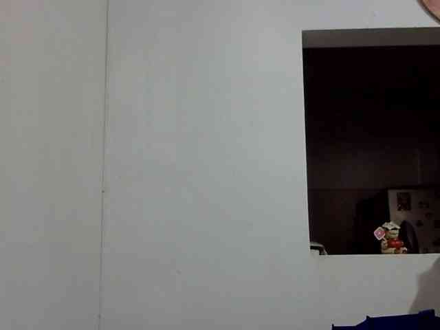 ElizabethMart webcam
