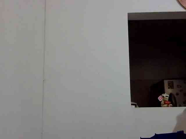 ElizabethMart webcam