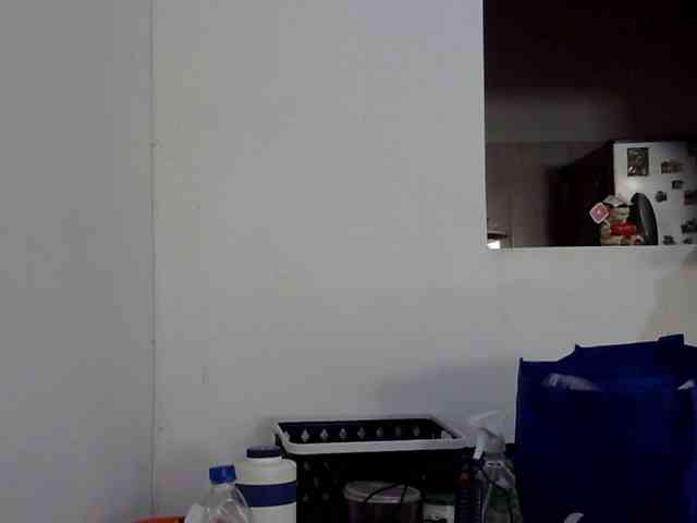 ElizabethMart webcam