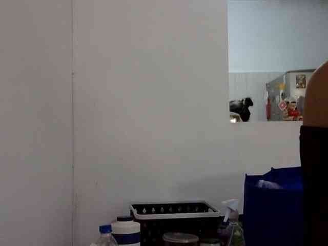 ElizabethMart webcam