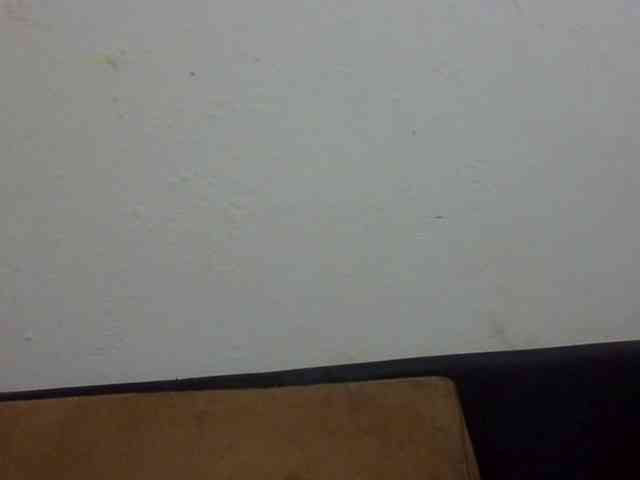ElizabethMart webcam