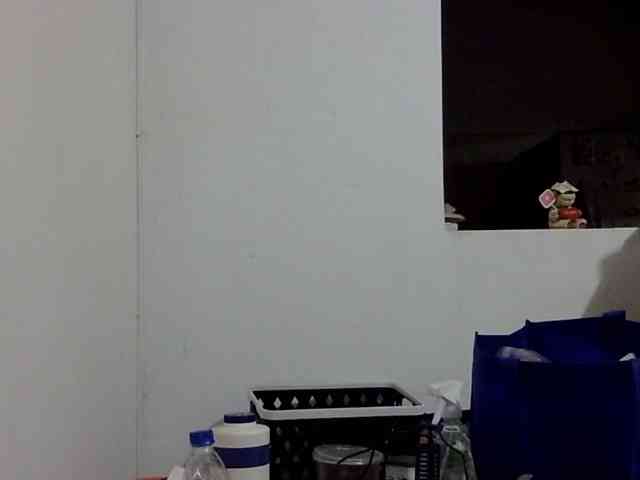 ElizabethMart webcam