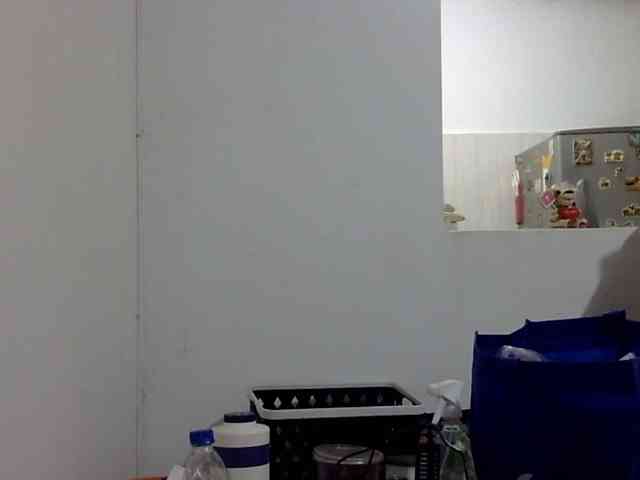 ElizabethMart webcam