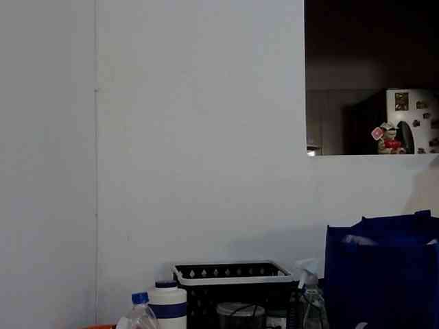 ElizabethMart webcam