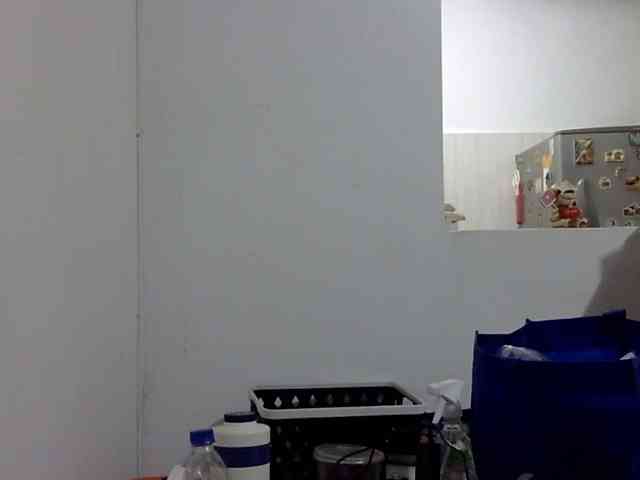 ElizabethMart webcam