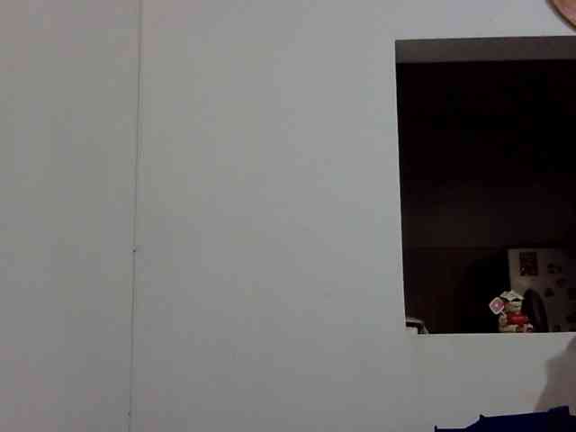 ElizabethMart webcam