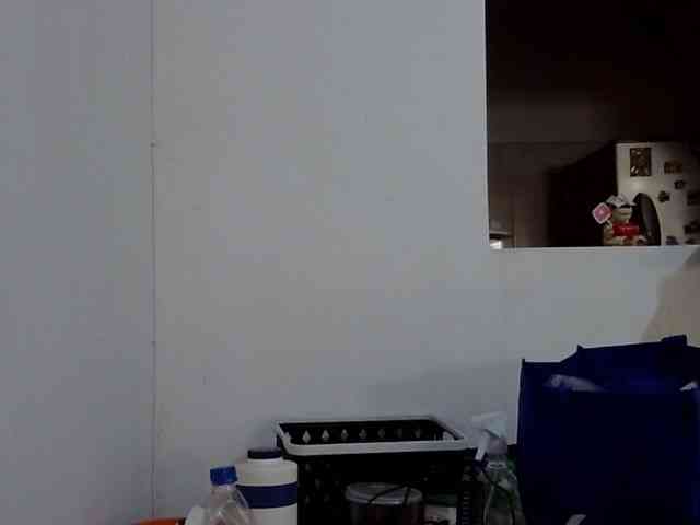 ElizabethMart webcam