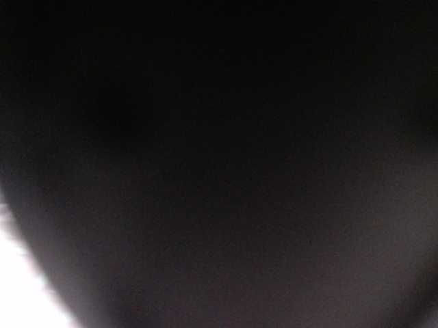 SashaMacgrego live cam preview