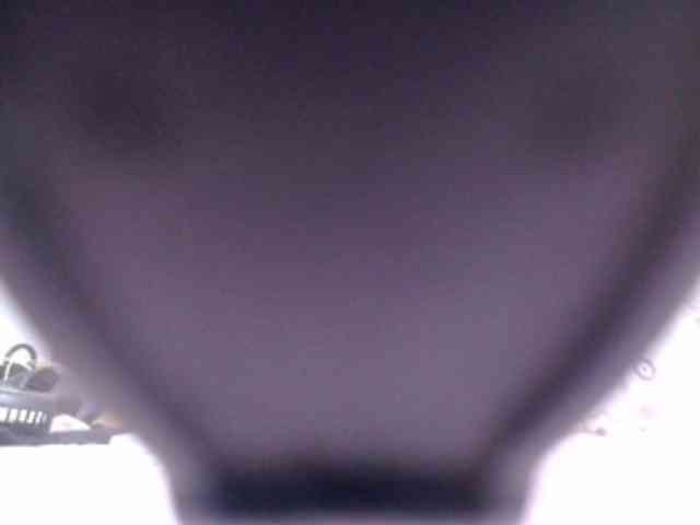 SashaMacgrego webcam