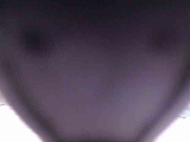 SashaMacgrego webcam