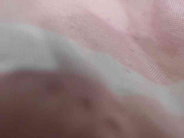 SashaMacgrego webcam