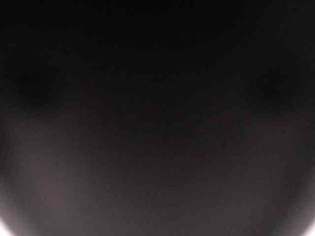 SashaMacgrego webcam