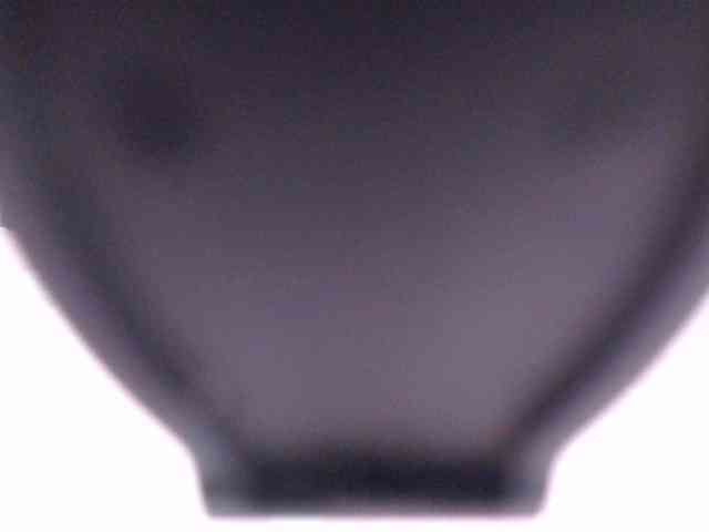 SashaMacgrego webcam
