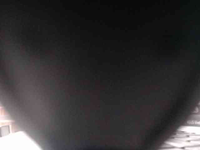 SashaMacgrego webcam
