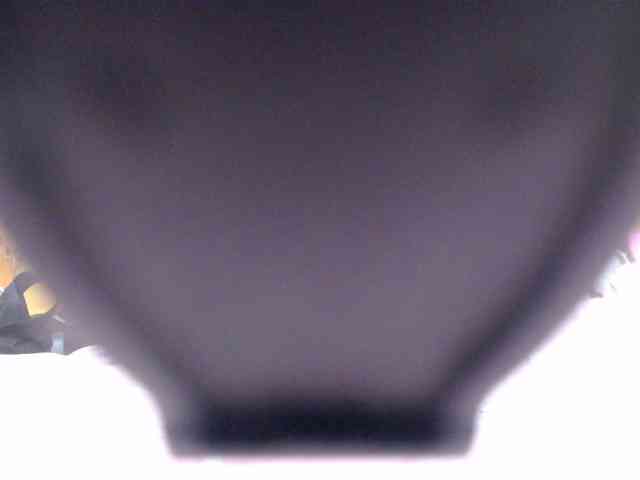 SashaMacgrego webcam
