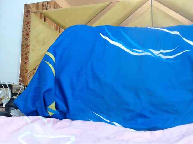 SashaMacgrego webcam