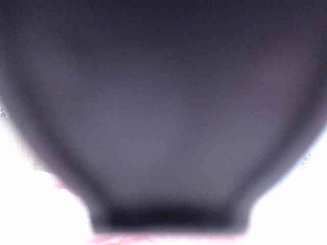 SashaMacgrego webcam