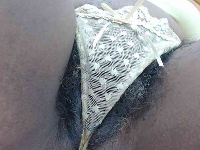 SashaMacgrego webcam