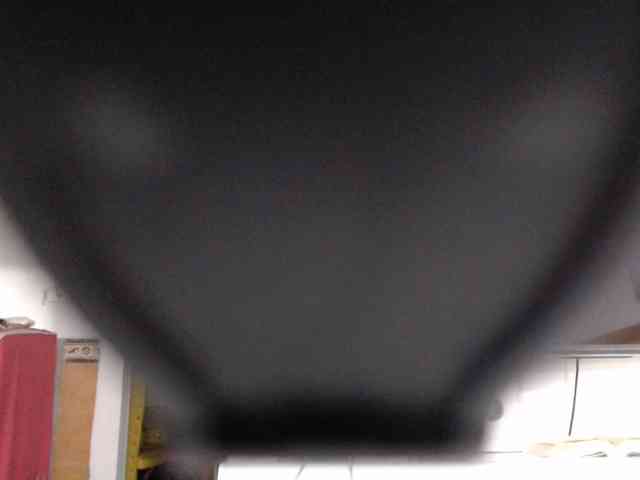SashaMacgrego webcam