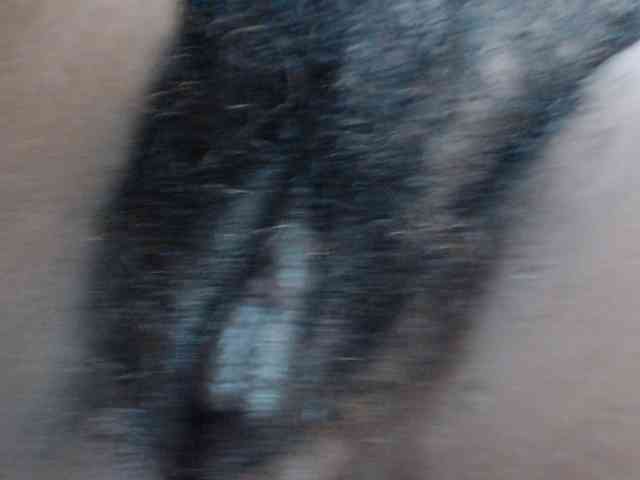 SashaMacgrego