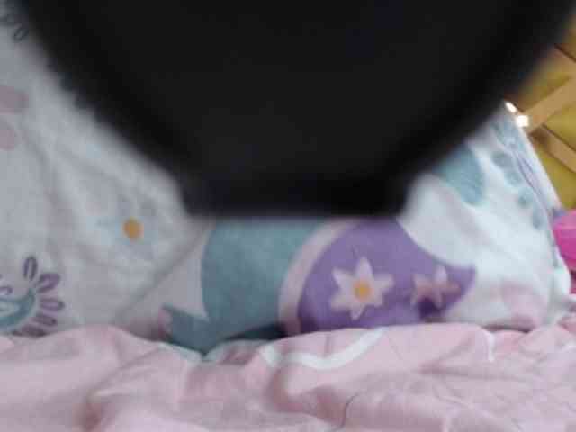 SashaMacgrego webcam