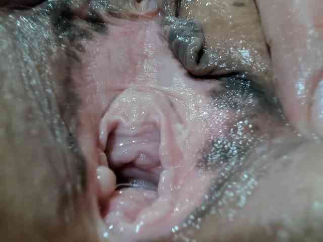 foxy-porn1