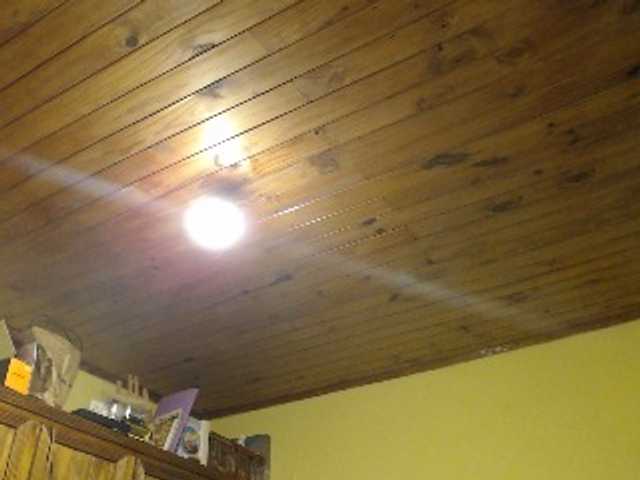 Lilye, en directo ahora en BongaCams