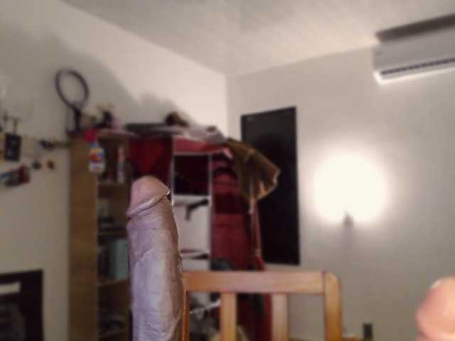 Lilye live cam