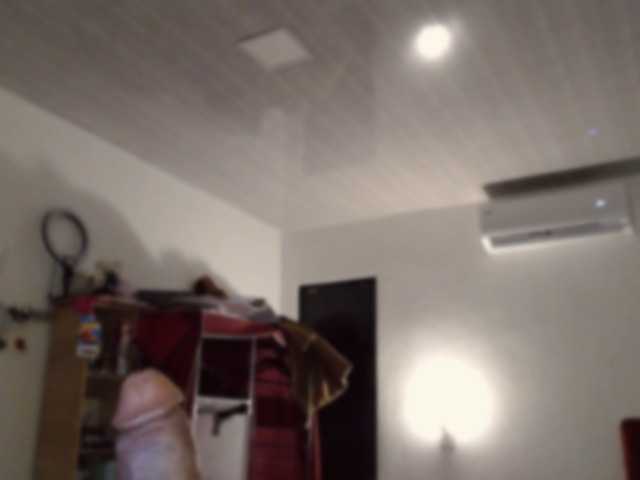 lilye cam belle