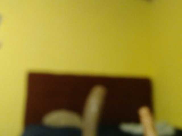 Lilye live cam preview