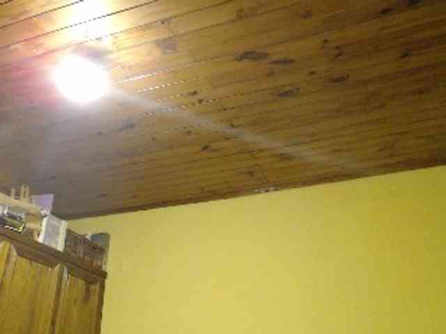 Alisa_U webcam