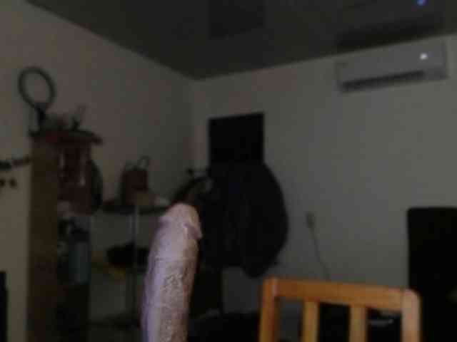 Alisa_U webcam