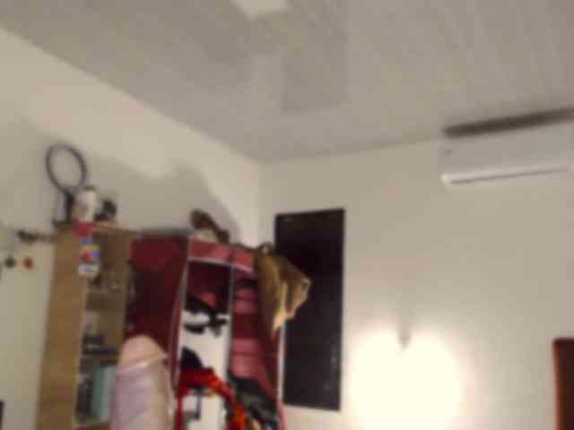 Alisa_U webcam