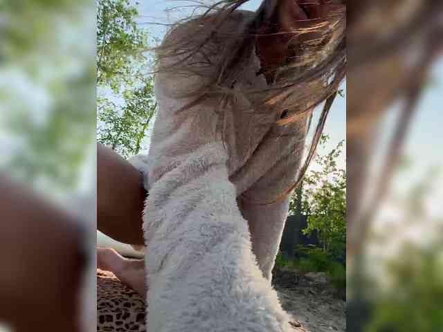 Модель: HOT_honey