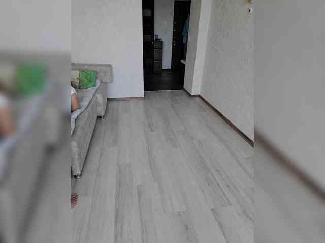 Alex80-201