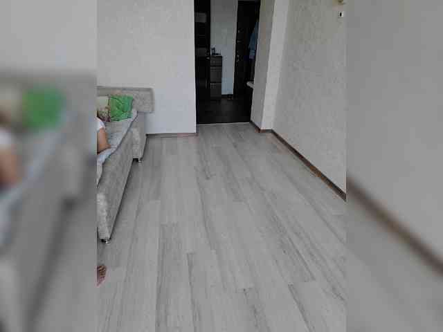 Alex80-201