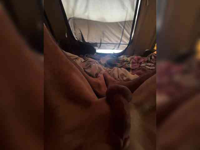 PIGLET58a PIGLET58a