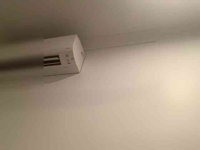 PIGLET58a Live Webcam on BongaCams