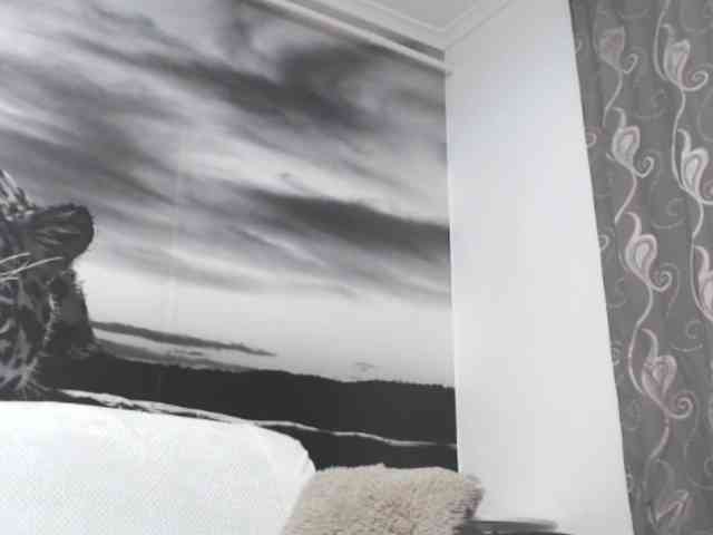 sweetandreea webcam
