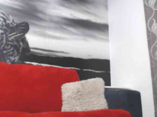 sweetandreea webcam
