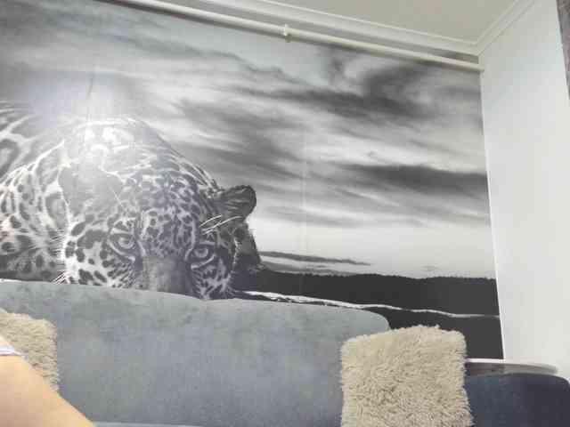 sweetandreea webcam