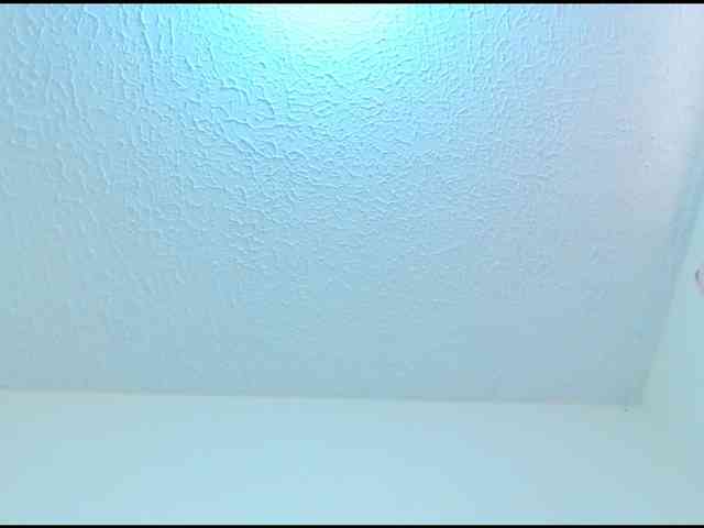 BlonHumide webcam