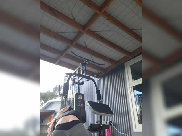 Pinkthehawk