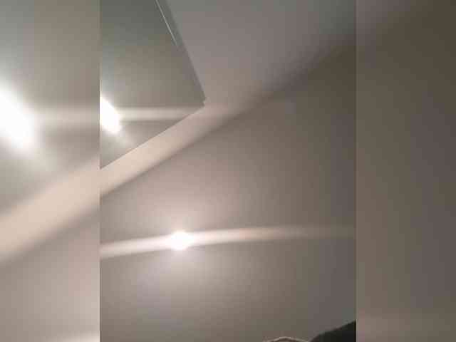 Pinkthehawk webcam