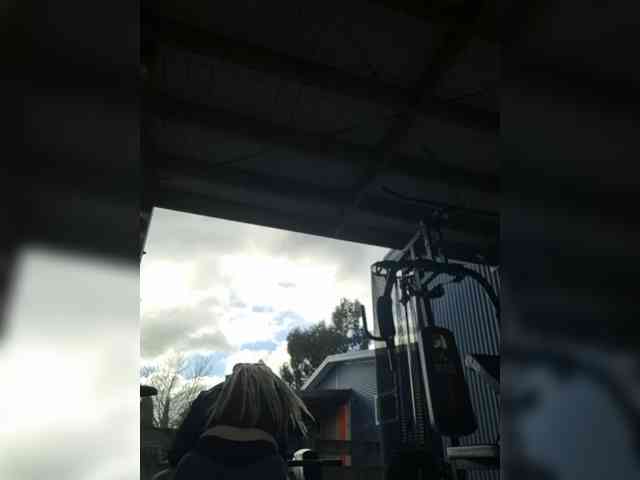 Pinkthehawk webcam