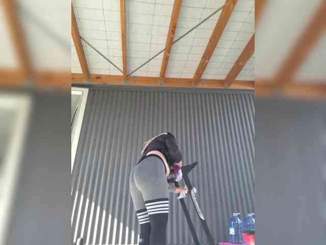 Pinkthehawk webcam