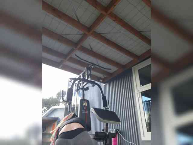 Pinkthehawk webcam