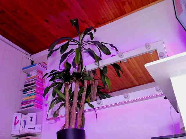 asscutebig webcam